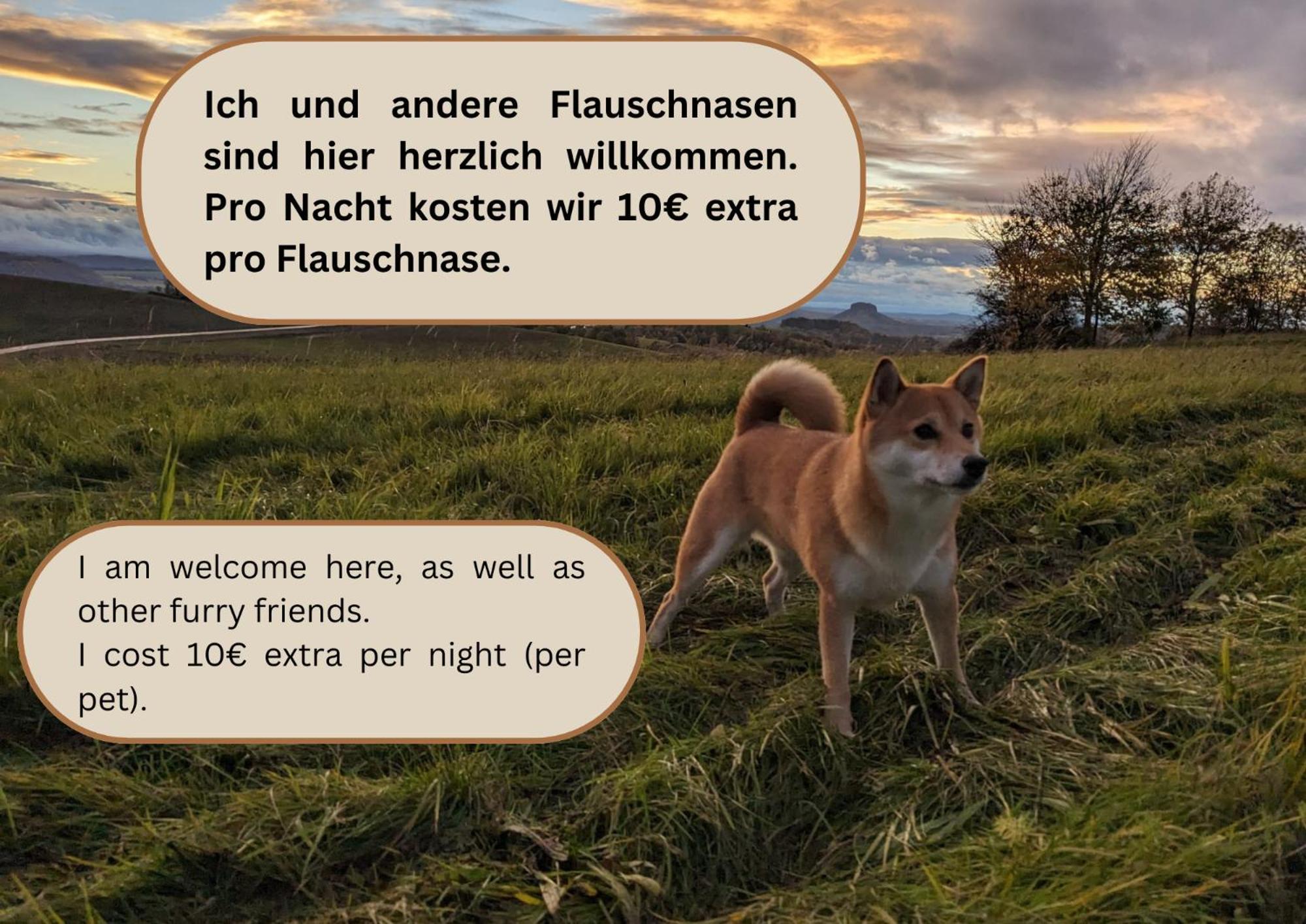 S3 - Urlaubsmagie - Fuer 4P Mitten Im Elbsandsteingebirge ゼーブニッツ エクステリア 写真